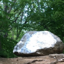 TZ FP Big Rock (Small)
