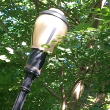 TZ FP Old Lamp